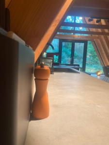 A-huis in het bos van Drenthe