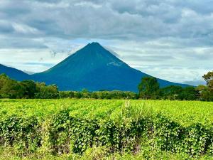 Yin Garden Lodge Fortuna