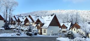 Luksuswy Domek Fantazja z sauną i kominkiem przy stoku narciarskim