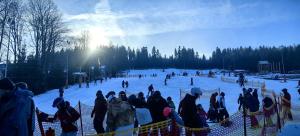 Luksuswy Domek Fantazja z sauną i kominkiem przy stoku narciarskim