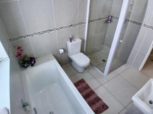 Elegant & Modern Home near Cape Winelands