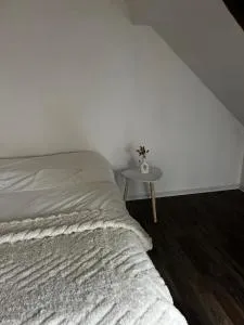 Charmant duplex trois pièces paisible - Berstett