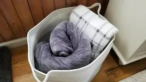 1 floor, Pocono Pond house with Game Room - Cresco