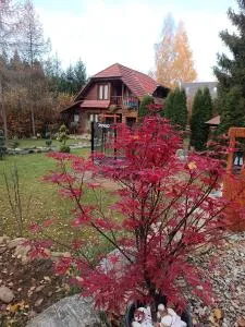 Coliba Padurarului - Arpaşu de Sus