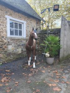 B&B / Chambres d'hotes au grain de folie : photos des chambres
