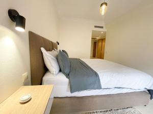 appartement luxueuse