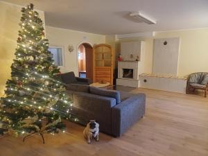 Laugu Guesthouse