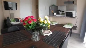 Departamento full amoblado en Villarrica - Voipire