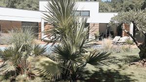 Villas Villa d-architecte Moon : photos des chambres