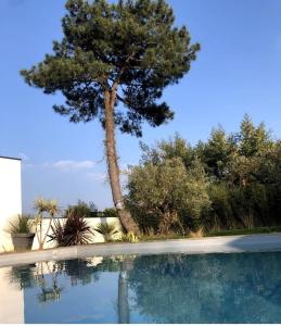 Villas Villa d-architecte Moon : photos des chambres