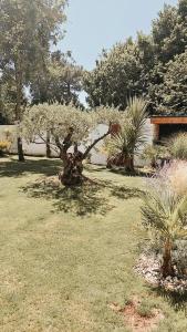 Villas Villa d-architecte Moon : photos des chambres