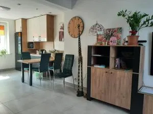 Apartament Renii - 斯马德泽维采