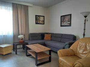 Apartament Renii
