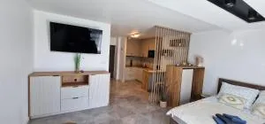 Apartament-Studio - 新塔尔格