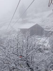 Hotel Royal Galaxy Tirthan