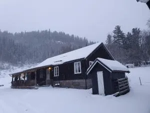 Tortveit 35 - Vråliosen