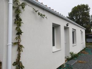 Maisons de vacances Le Cocon : photos des chambres