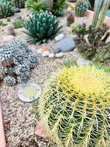 Il Giardino davanti al Mare img10