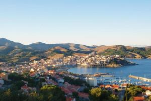 Appartement 2 pièces BANYULS SUR MER BN100-331D