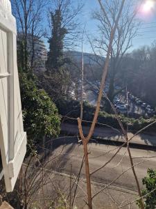 Appartements Le Nid, petit studio cosy et central : photos des chambres