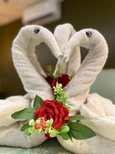 Porto de Galinhas - Cupe Exclusive 405