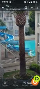 Arriendo por días con piscina en la florida - 圣阿方索