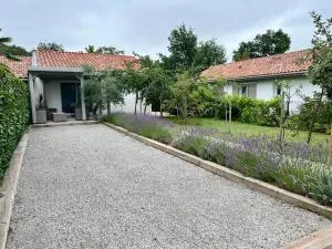 L'olivier - 莫桑克斯