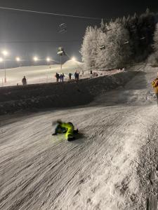 Superb Mýto Apartment