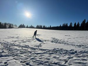 Osada Aurora Całoroczne domki z jacuzzi z widokiem na jezioro i góry
