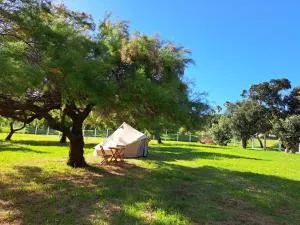 Bearsu Nature Almoxarife - Praia do Almoxarife