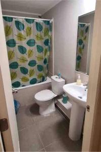 Lodge 309 Depto 15 minutes PuconLican