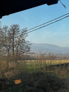 Infinity Moon apartments