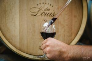 Appartements Le Gite des Louis : photos des chambres