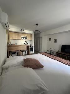 Appart'hotels SOUS LES PLATANES : photos des chambres