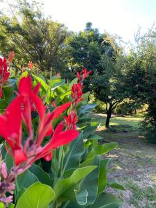 Cabaña en Villa General Belgrano