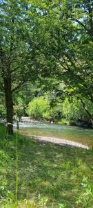 Cabañas Lucas Patagón