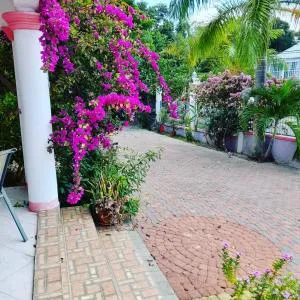 Spiritual Bliss - Falmouth