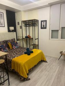 paris beautiful cozy studio