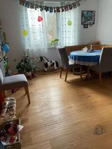 Wohnung Lindenstrasse - Reinach