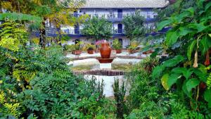 Superior Apartment room in Corral del Conde