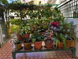 Yelahanka bungalow 30 mins from airport