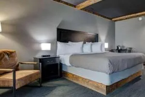 Hotel LEX, Trademark Collection by Wyndham - Pricetown