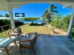 Fare Travelling's Turtle - Tuarea