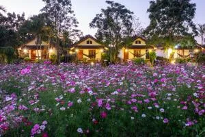The Nest House - Pai