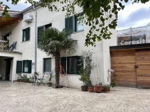 Apartment Rozalka Vipava valley