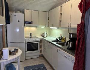 Chalet Pellonranta 1