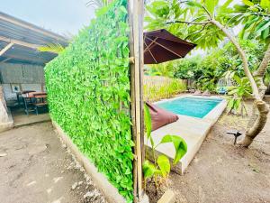 The This-Kon Gili Meno