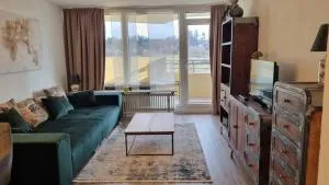 Apartment 488 - Sülzhayn