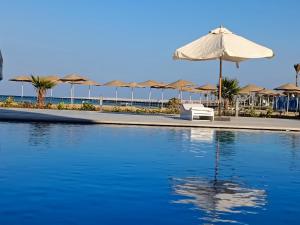 Excellent Apt 5 minutes from downtown, Beach Front Free WIFI