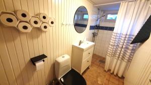 Villa The White Moose, 6 rooms, 3 bedrooms, 2,5 baths, sauna, near Branäs